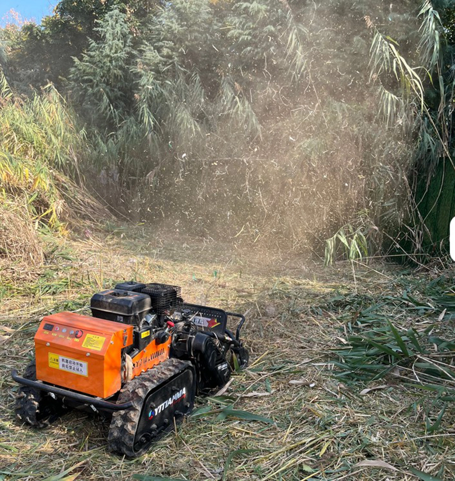Broyeurs radiocommandés professionnel Zentrax BRM en action pour le débroussaillage de végétation dense 
