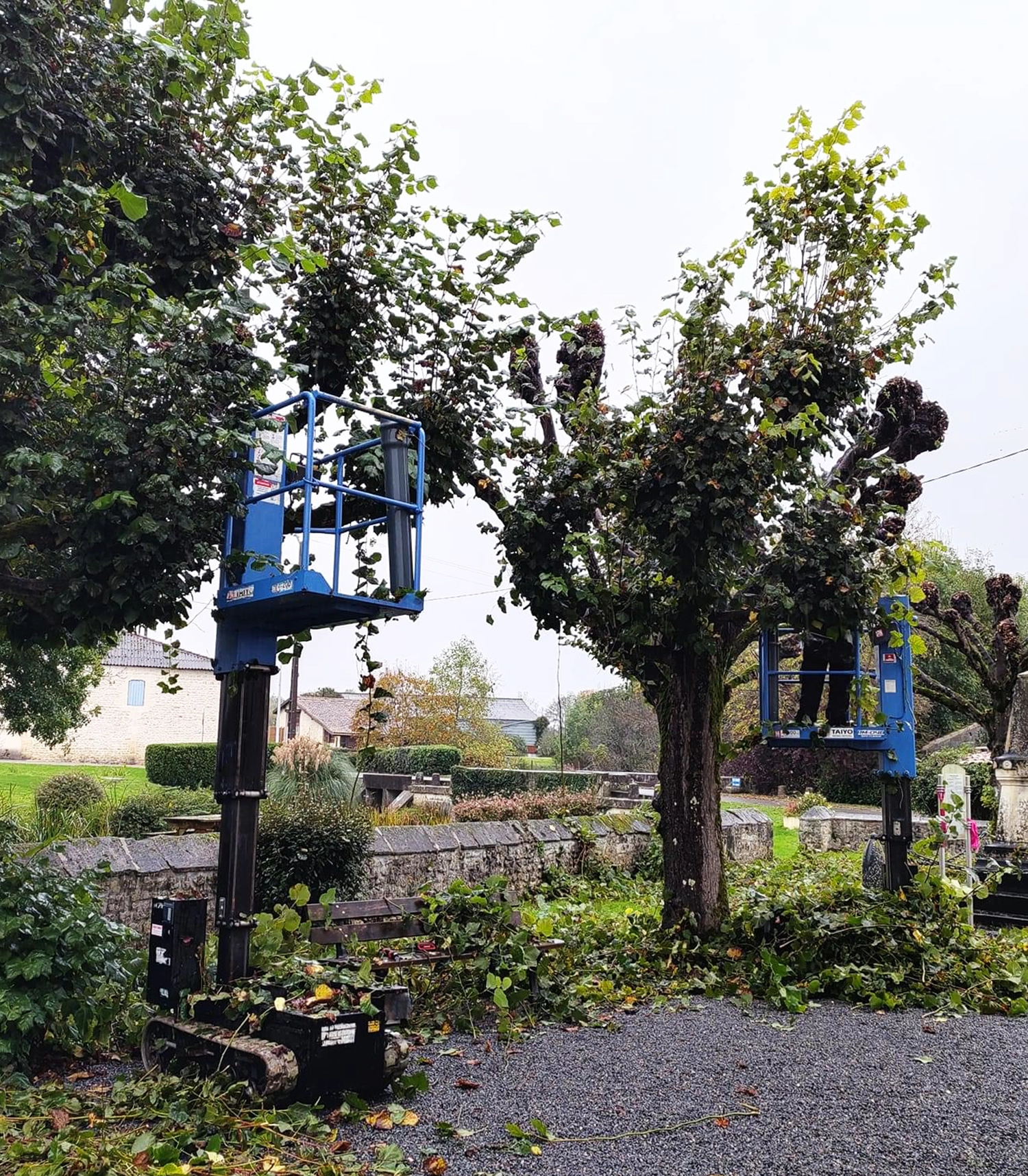 Nacelle sur chenilles professionnelle Zentrax AICHI rm04b pour taille des arbres